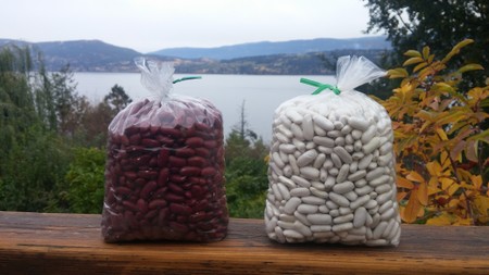 Beans, Red Kidney (Dried)