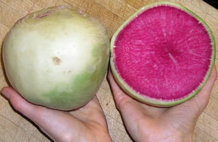 Radish, Watermelon (try it raw - yum!)